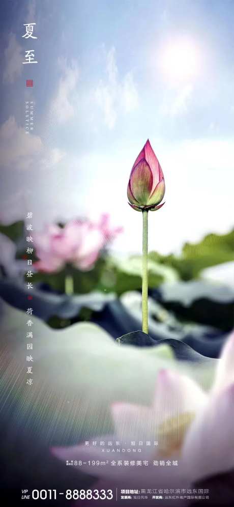 夏至微信-采灵感-https://www.cailinggan.com/