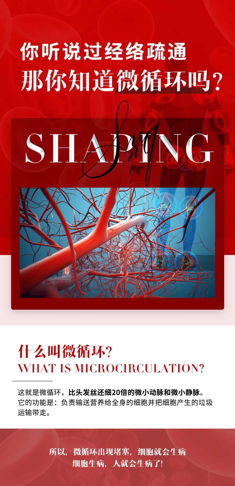 微循环海报-采灵感-cailinggan.com