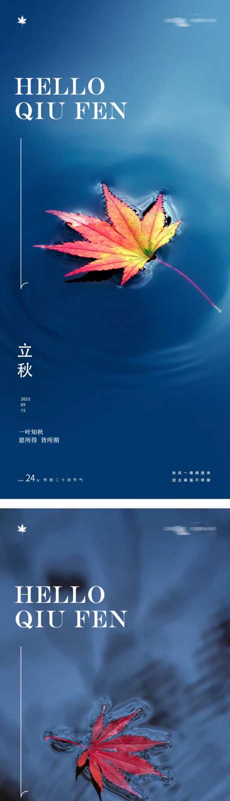 立秋秋分24节气梧桐叶水海报-采灵感-https://www.cailinggan.com/