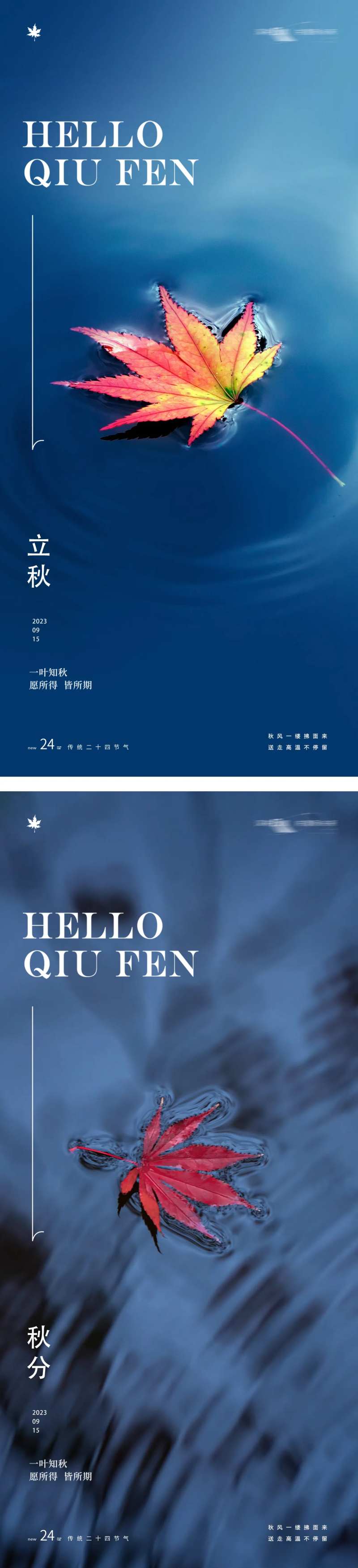 立秋秋分24节气梧桐叶水海报-采灵感-cailinggan.com