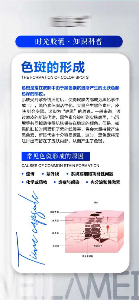色斑的形成-采灵感-https://www.cailinggan.com/
