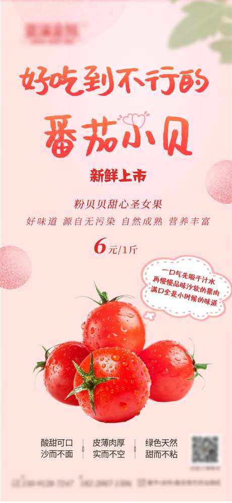 粉色新鲜圣女果-采灵感-https://www.cailinggan.com/