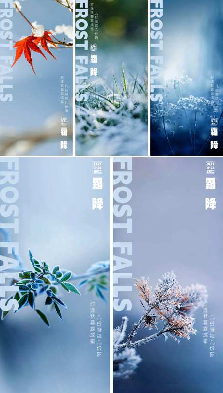 霜降海报-采灵感-cailinggan.com