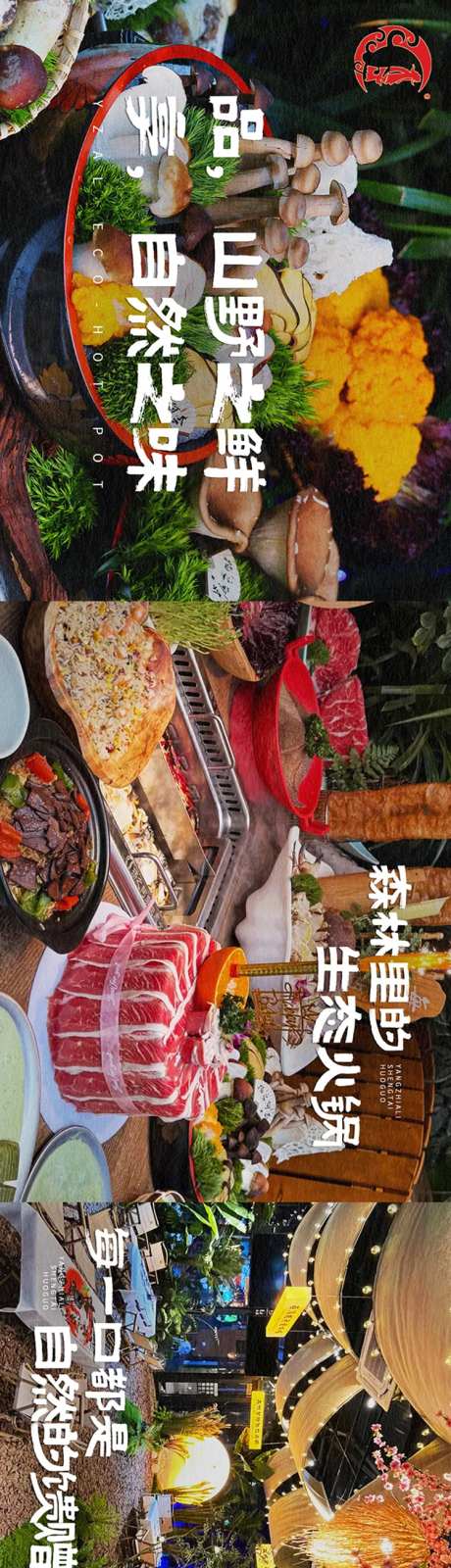 生态自然菌菇火锅大众点评五连图-采灵感-https://www.cailinggan.com/