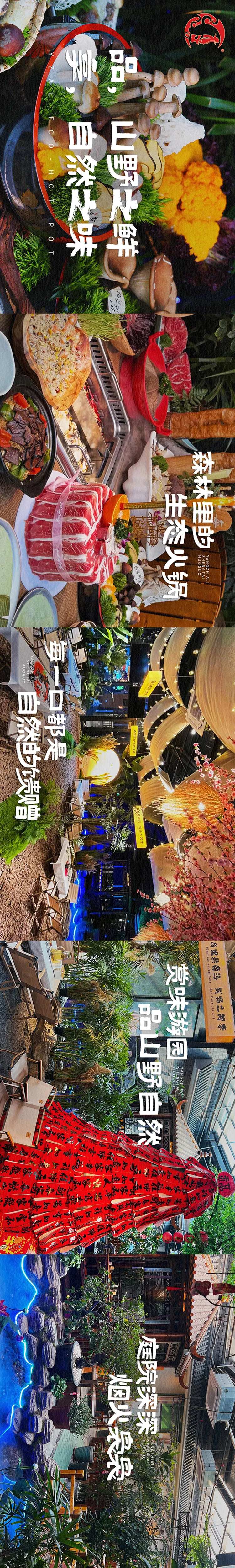 生态自然菌菇火锅大众点评五连图-采灵感-cailinggan.com