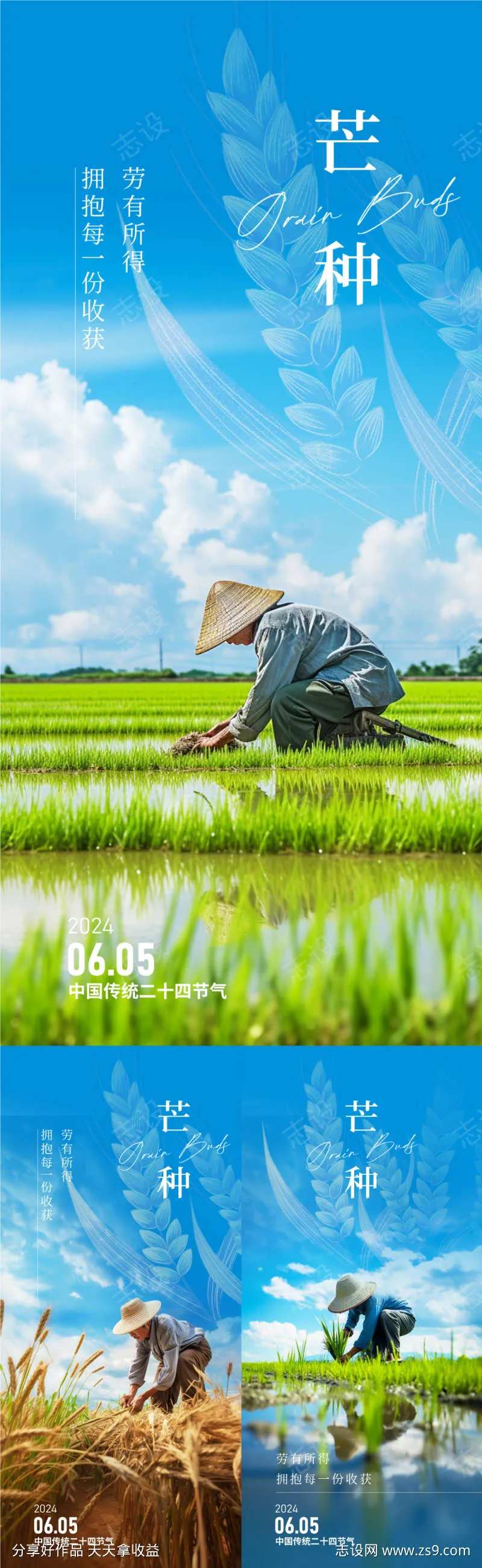 劳作田地芒种节气-采灵感-cailinggan.com