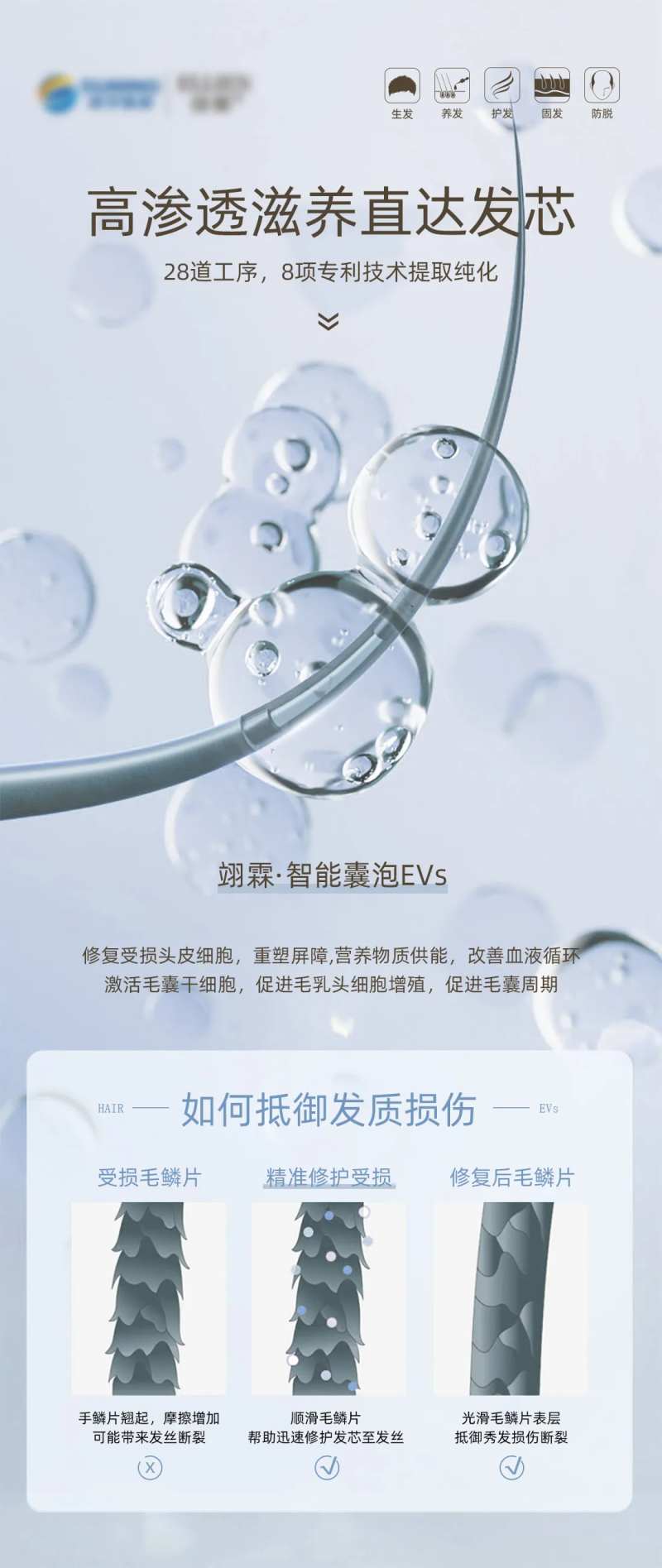 修护发芯海报-采灵感-cailinggan.com