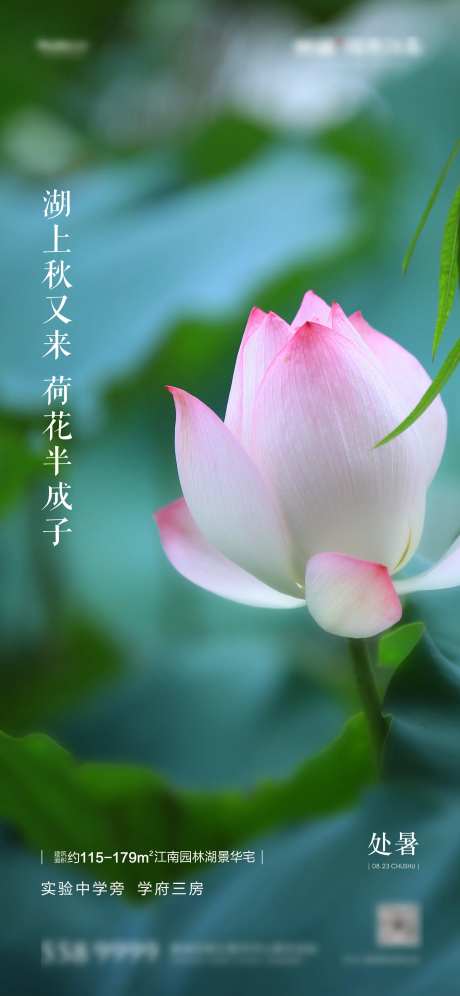 处暑节气海报-采灵感-https://www.cailinggan.com/