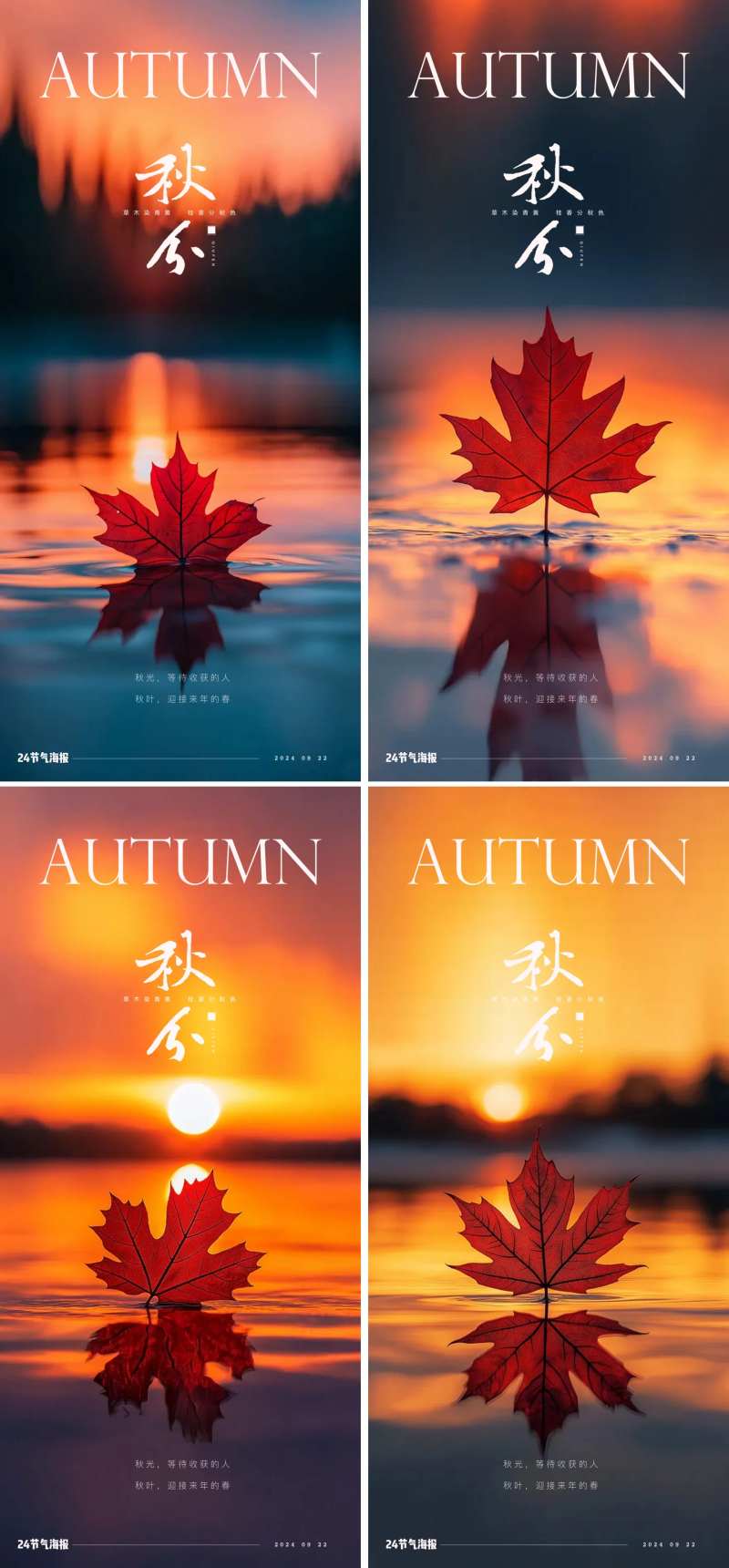 秋分节气梧桐叶海报-采灵感-cailinggan.com