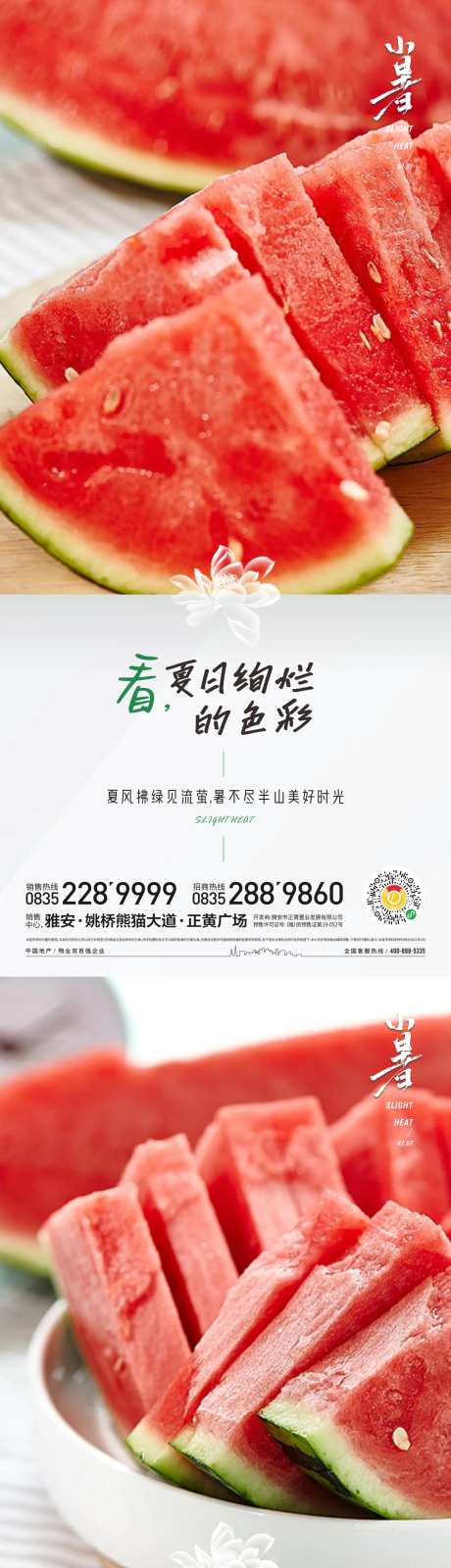 夏日绚烂小暑节气-采灵感-https://www.cailinggan.com/