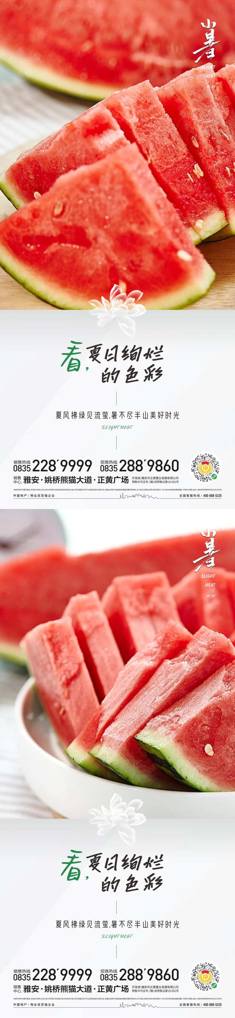 夏日绚烂小暑节气-采灵感-cailinggan.com