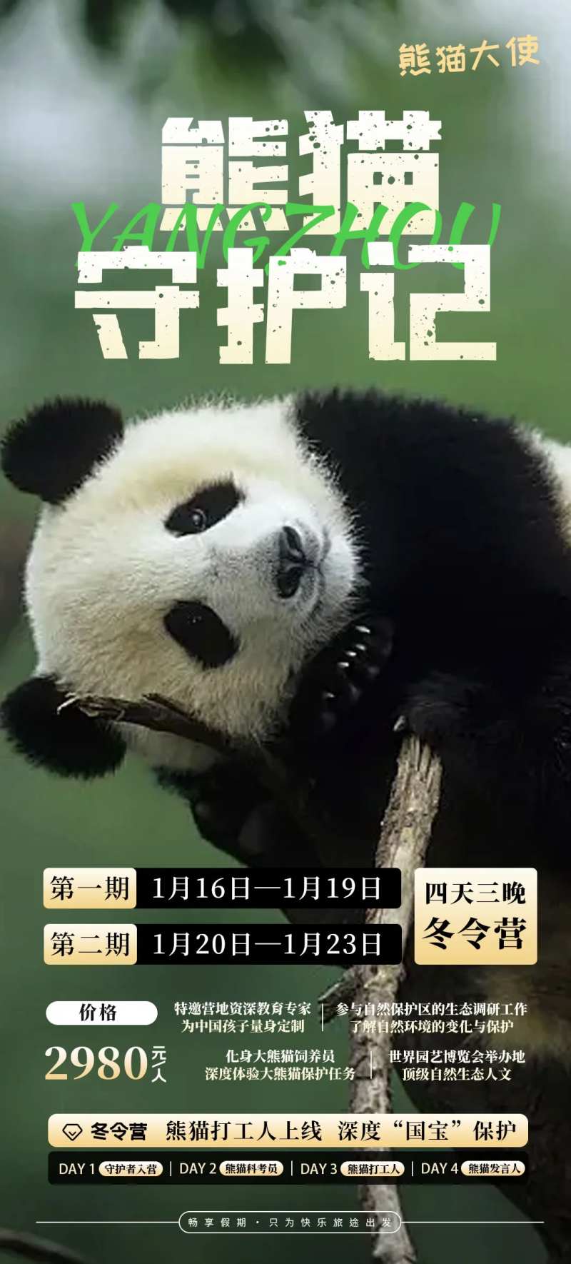 熊猫冬令营-采灵感-cailinggan.com