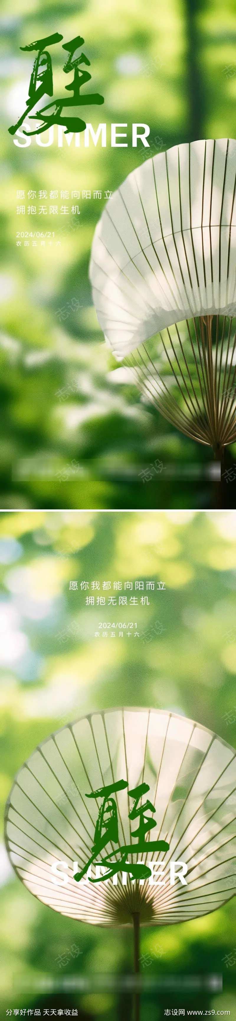 夏至极简海报-采灵感-cailinggan.com