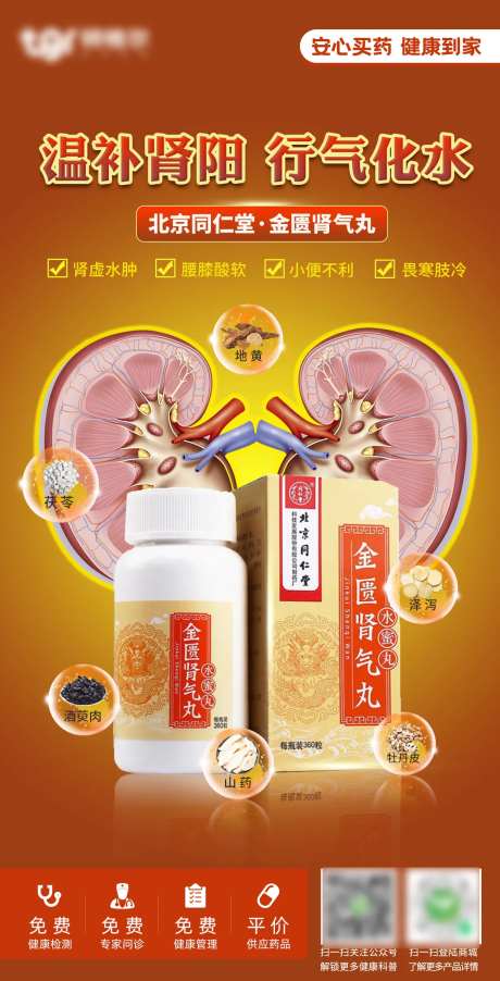 肾气丸药品产品海报-采灵感-https://www.cailinggan.com/