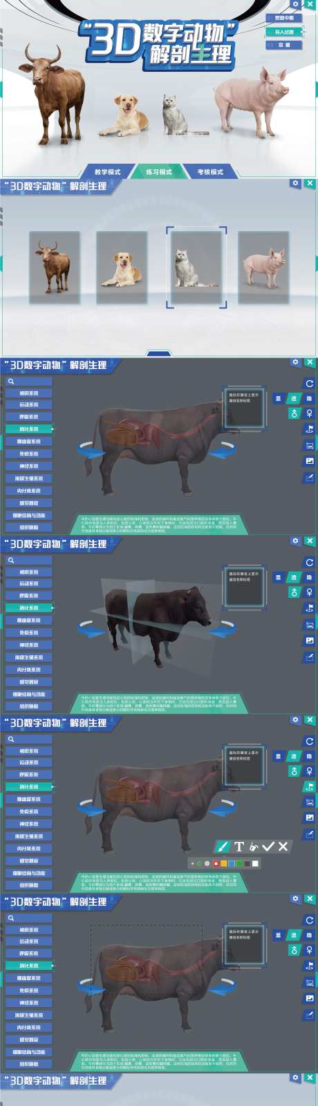 3D数字解刨模拟系统-采灵感-https://www.cailinggan.com/
