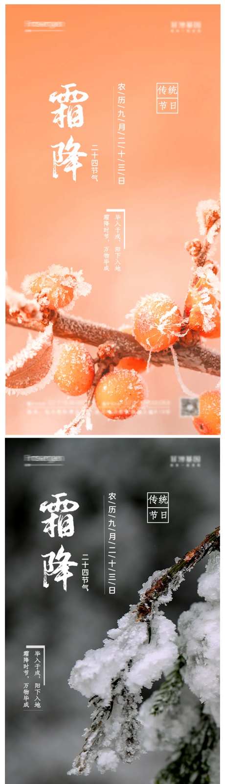 霜降摄影图节气海报-采灵感-https://www.cailinggan.com/