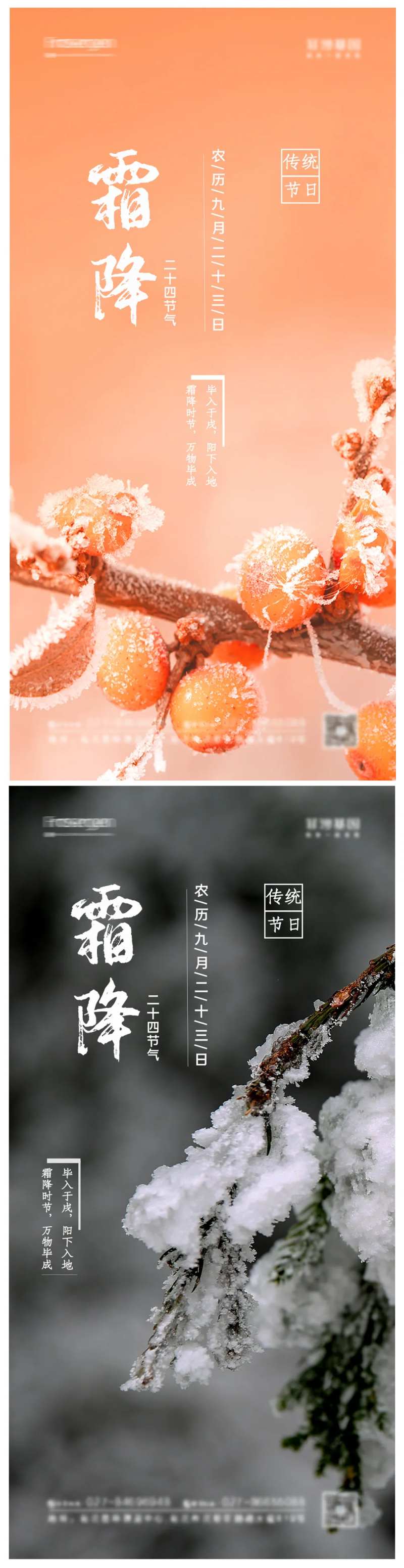 霜降摄影图节气海报-采灵感-cailinggan.com