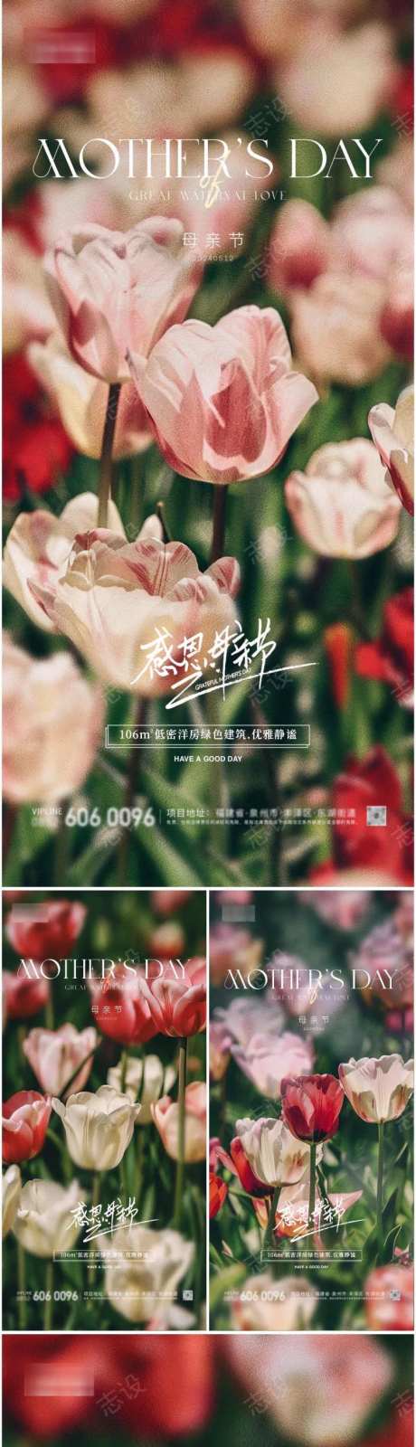 母亲节郁金香海报-采灵感-https://www.cailinggan.com/