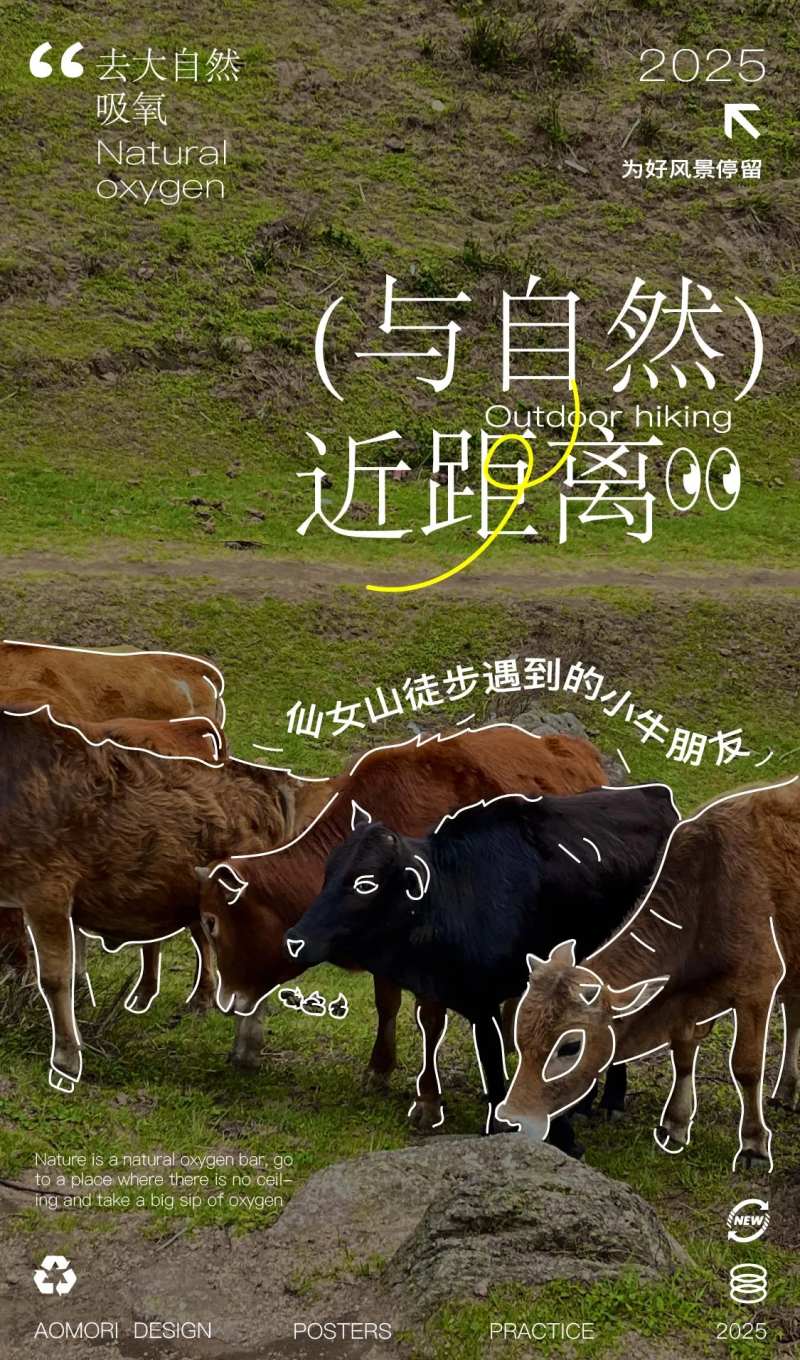 户外春光徒步自然活动版式设计海报-采灵感-cailinggan.com