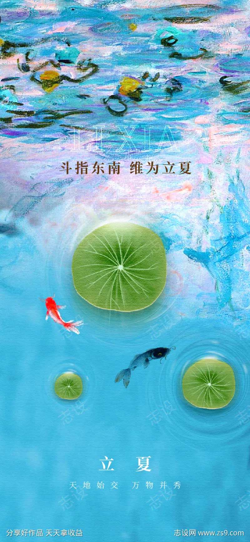 立夏24节气节日水池荷花金鱼-采灵感-cailinggan.com