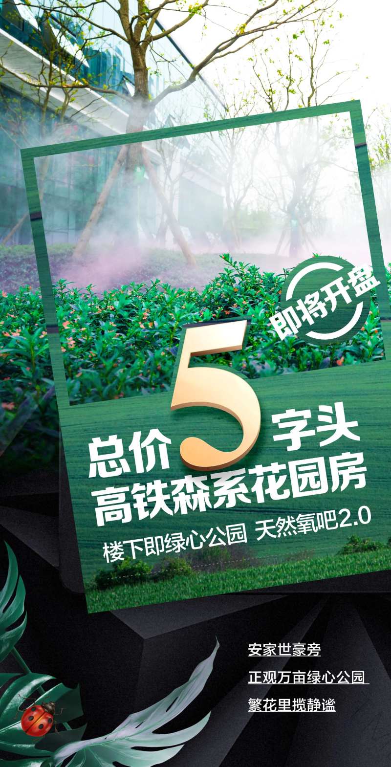 首付5万-采灵感-cailinggan.com