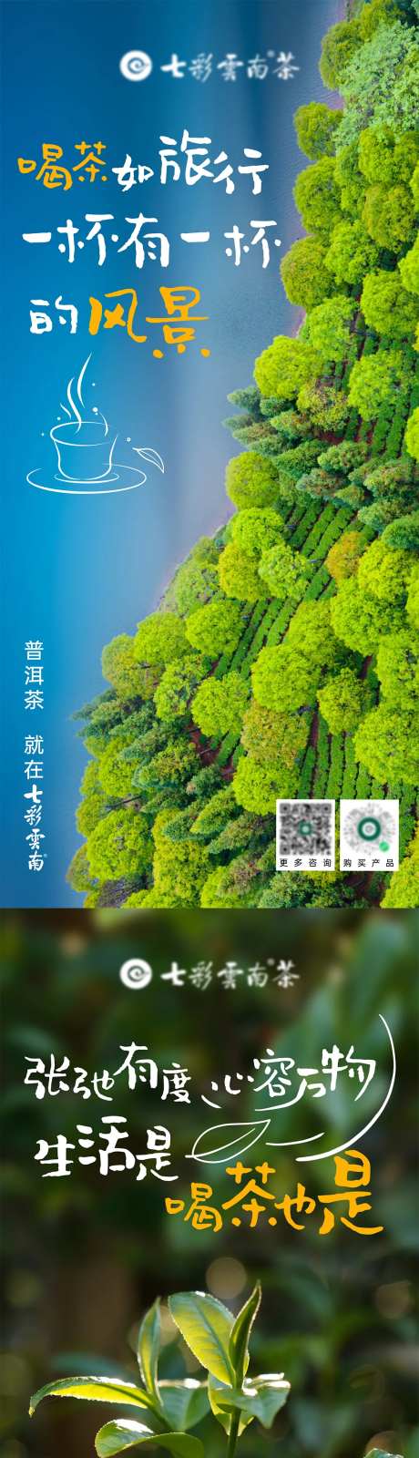 茶山茶树高级系列海报-采灵感-https://www.cailinggan.com/