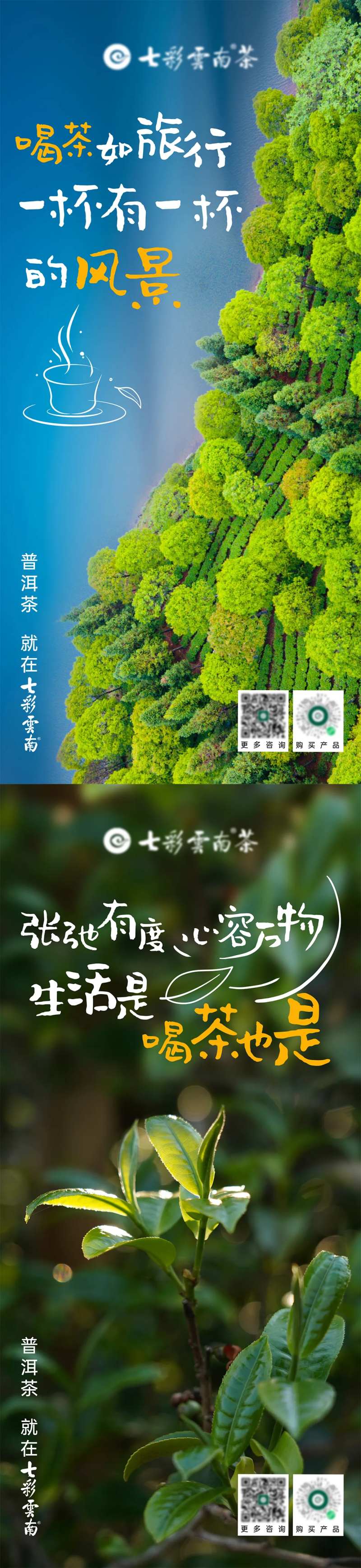 茶山茶树高级系列海报-采灵感-cailinggan.com