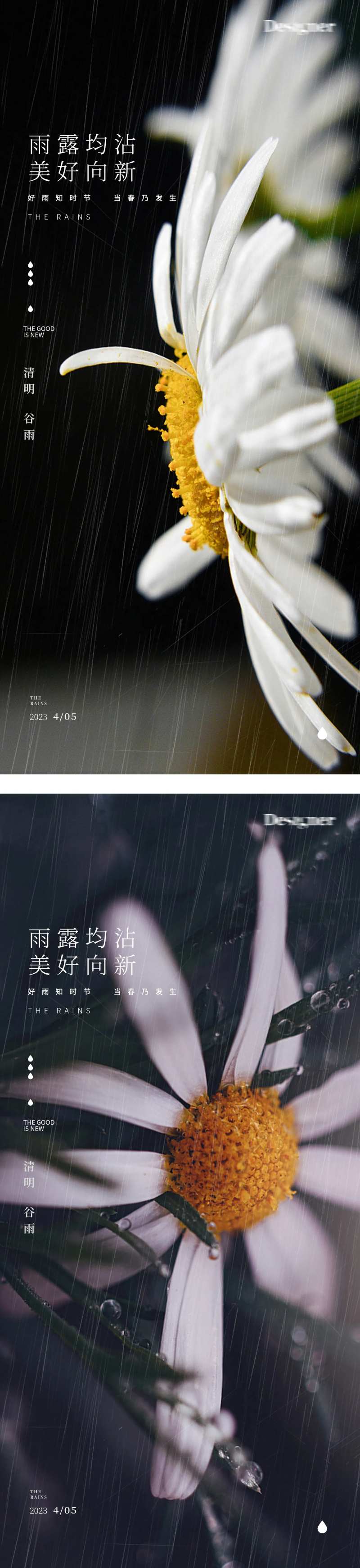 谷雨花清明节树叶24节气海报-采灵感-cailinggan.com