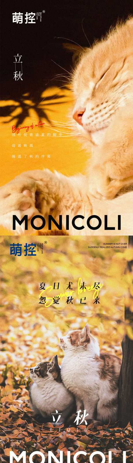 宠物猫品牌立秋节气海报                                                                                                                                                                                             -采灵感-https://www.cailinggan.com/