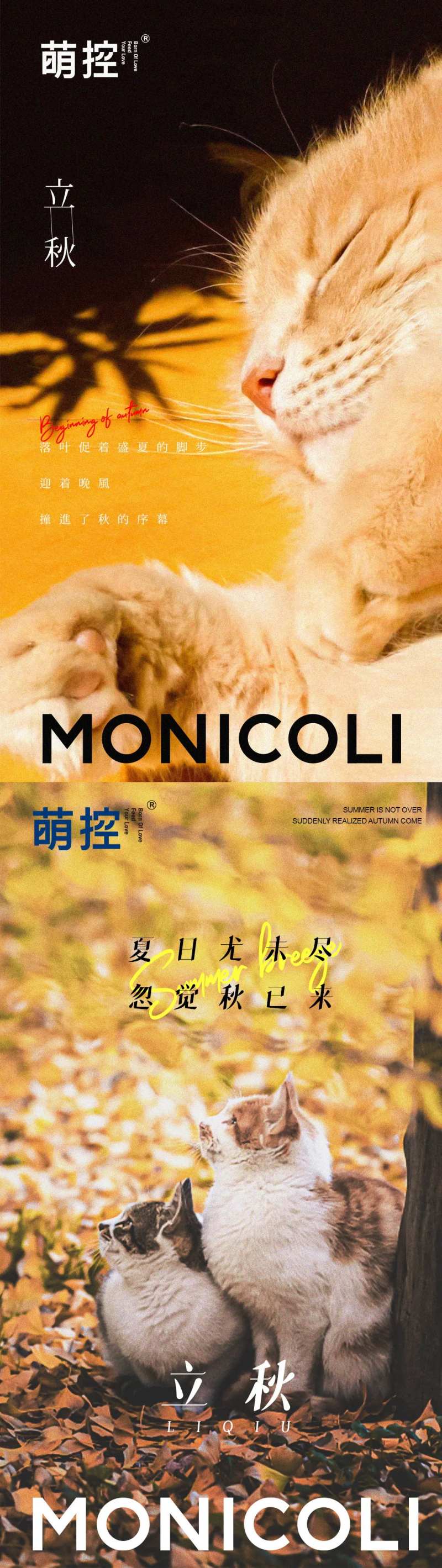宠物猫品牌立秋节气海报                                                                                                                                                                                             -采灵感-cailinggan.com