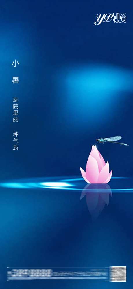 地产小暑节气海报-采灵感-https://www.cailinggan.com/