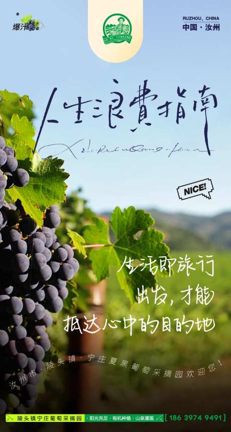 葡萄采摘海报-采灵感-https://www.cailinggan.com/