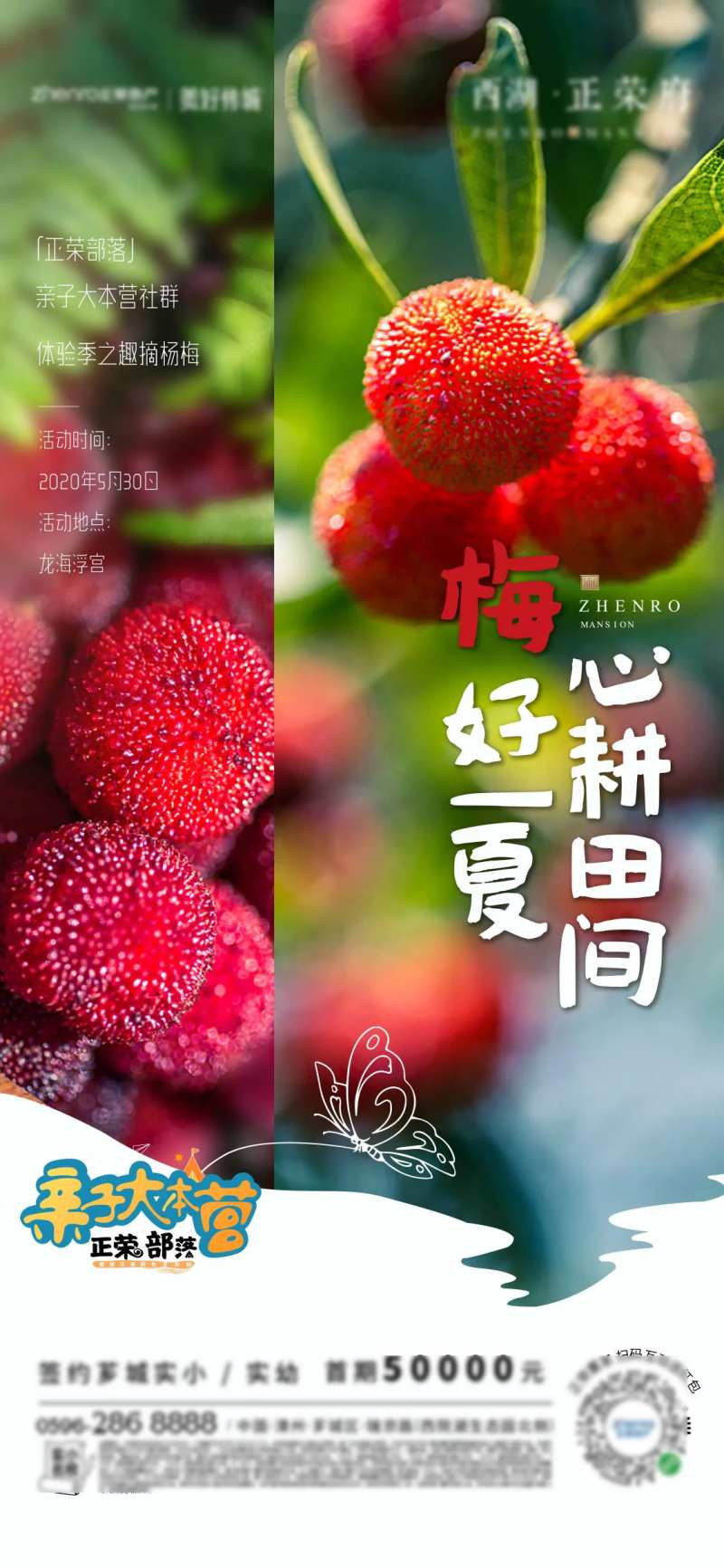 地产梅子采摘活动海报-采灵感-cailinggan.com