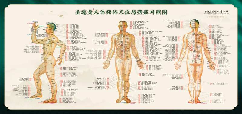 中医经络穴位艾灸图-采灵感-cailinggan.com