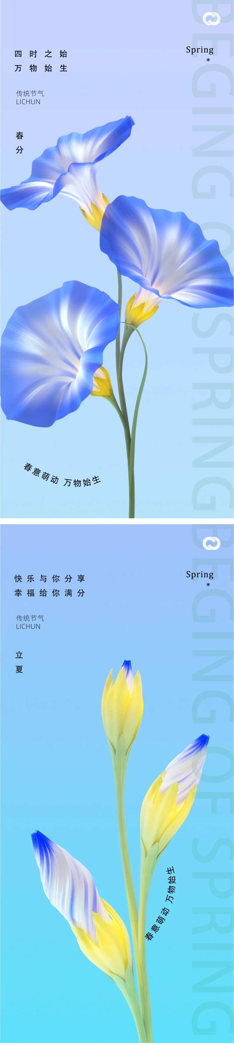 春分24节气喇叭花植物海报-采灵感-cailinggan.com