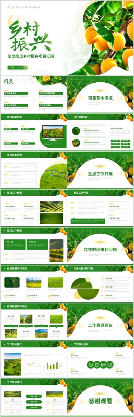全面推进乡村振兴项目汇报PPT-采灵感-https://www.cailinggan.com/