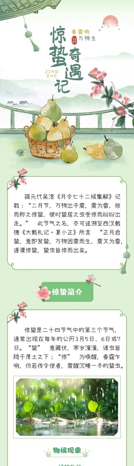 惊蛰奇遇记插画长图海报-采灵感-https://www.cailinggan.com/