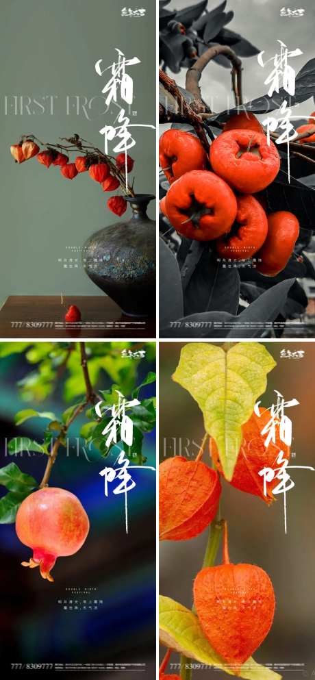 霜降柿子系列海报-采灵感-https://www.cailinggan.com/