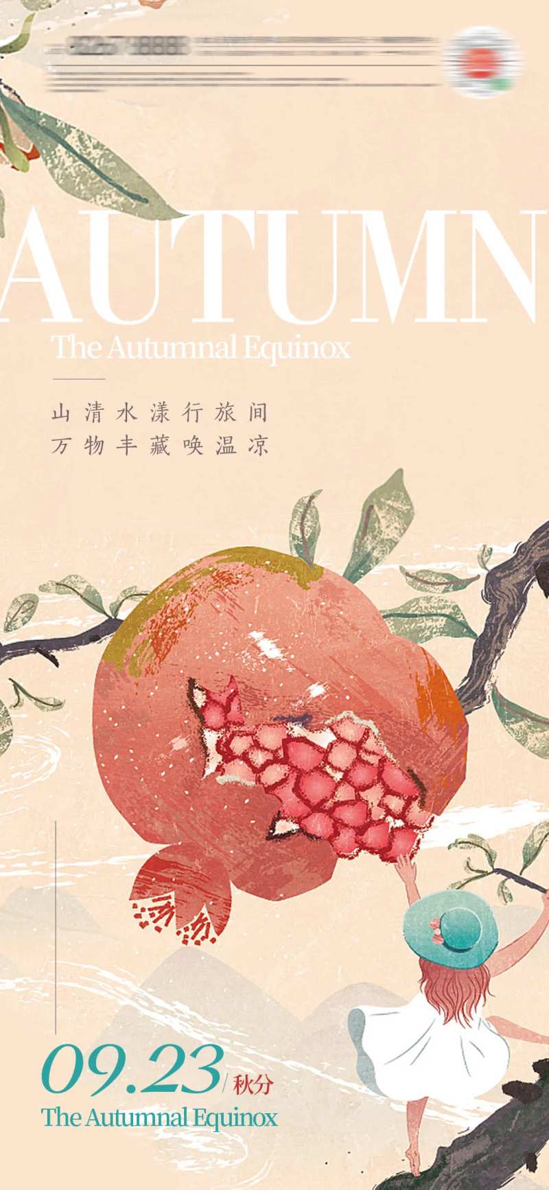 秋分立秋石榴插画24节气海报-采灵感-cailinggan.com