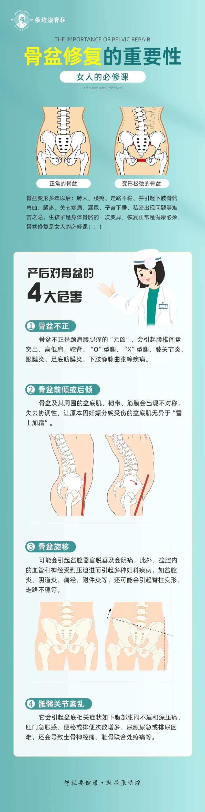 骨盆修复长图-采灵感-cailinggan.com