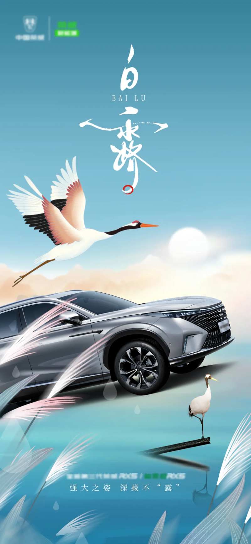 白露汽车海报-采灵感-cailinggan.com