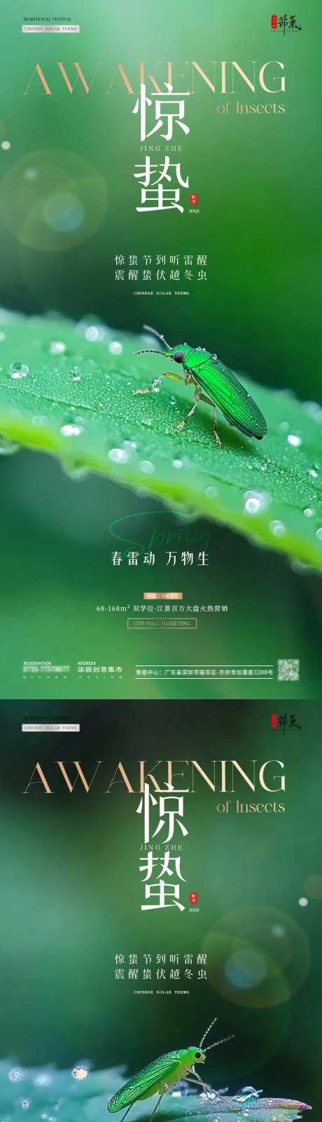 地产惊蛰植物昆虫摄影海报-采灵感-https://www.cailinggan.com/