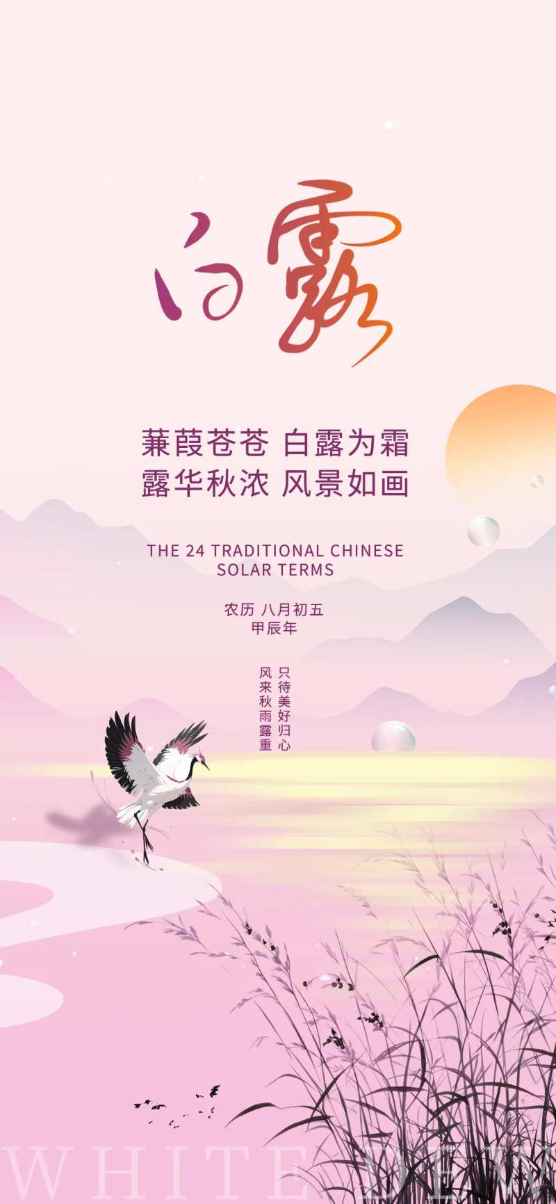 白露芦苇鹭夕阳蒹葭海报-采灵感-cailinggan.com