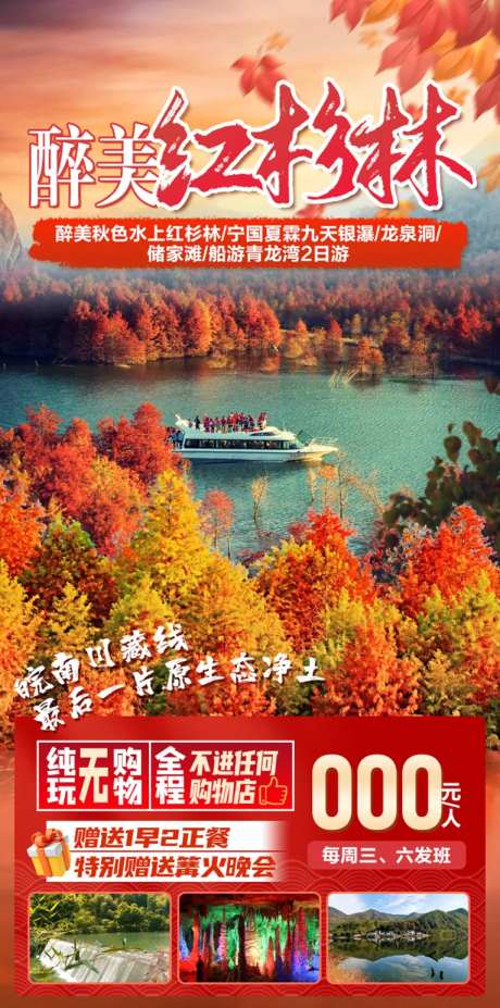 最美红杉林-采灵感-https://www.cailinggan.com/