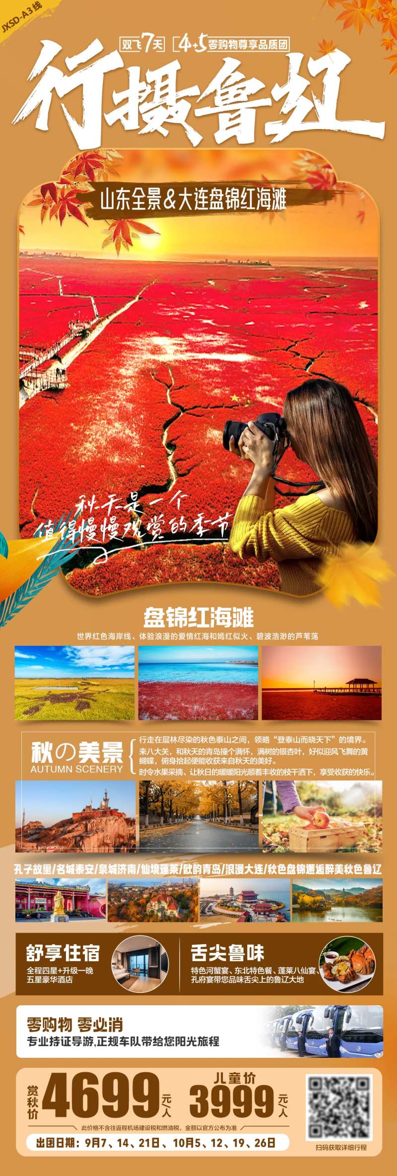 山东红海滩旅游海报-采灵感-cailinggan.com