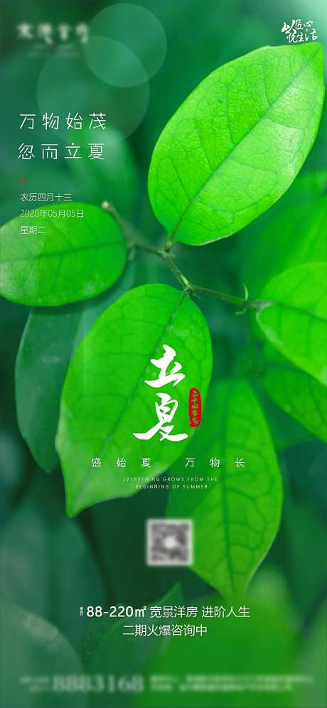 立夏小清新节气海报-采灵感-https://www.cailinggan.com/
