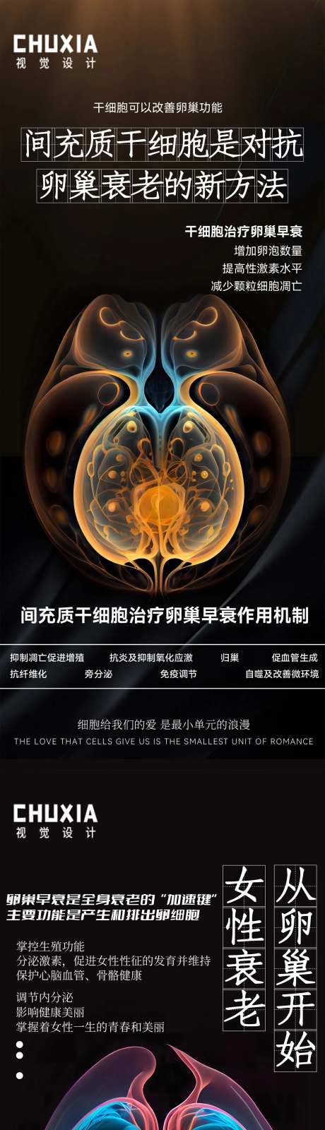 干细胞与卵巢早衰-采灵感-https://www.cailinggan.com/