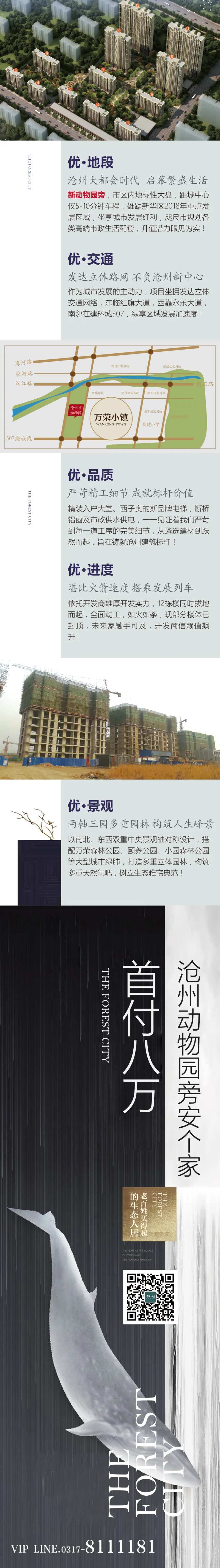 鲸鱼地产微信稿-采灵感-cailinggan.com