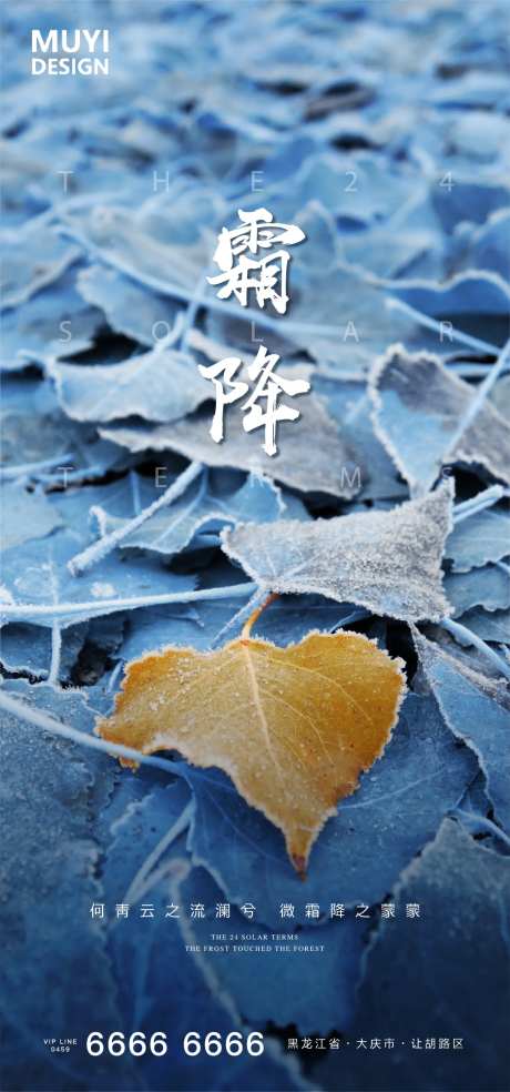 霜降图片海报-采灵感-https://www.cailinggan.com/