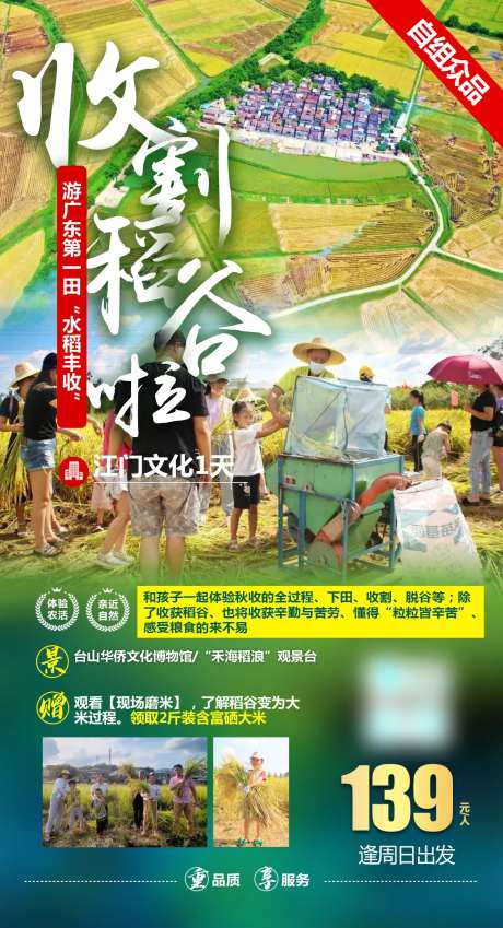 稻谷研学旅游海报-采灵感-https://www.cailinggan.com/